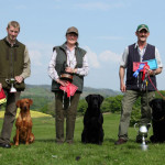 Richard Howson with Lunefirefly Merlot, Nicola Rudgard with Waterford Featherman & Neil Hardy with Marranscar Viper & Risefit Black Adder of Marranscar